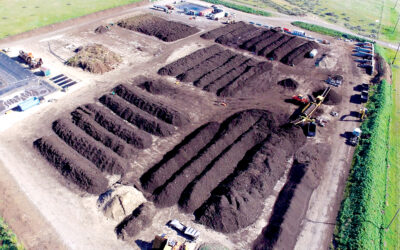Large Windrow Composting: A Natural Path to Rich Soil